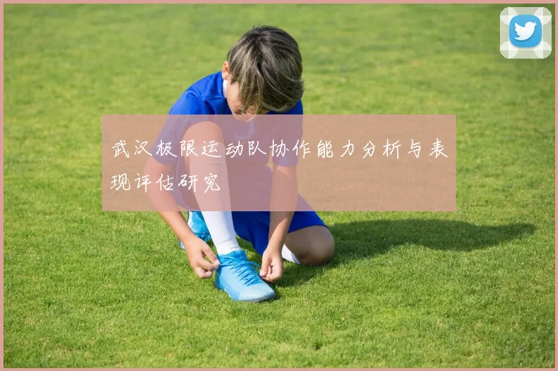 武汉极限运动队协作能力分析与表现评估研究